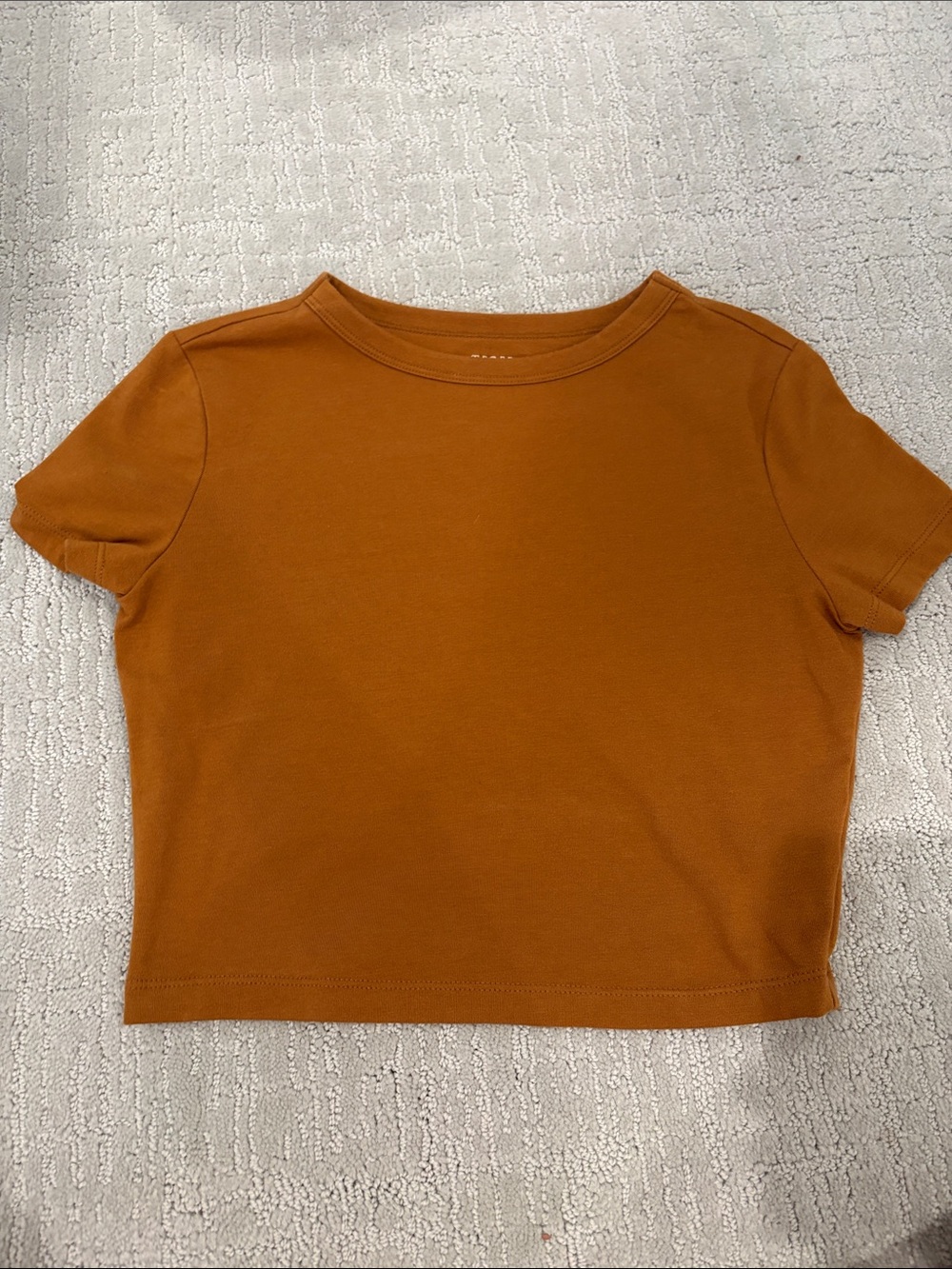 wild fable Rust Orange Cropped Tee